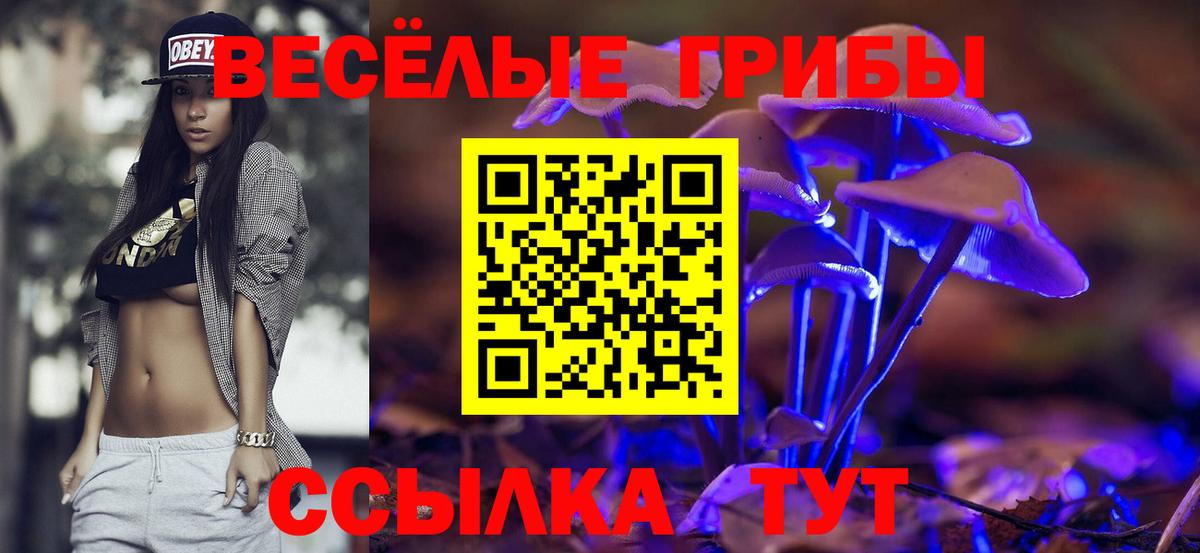 Псилоцибиновые грибы GOLDEN TEACHER  Вход с VPN  Кубинка 